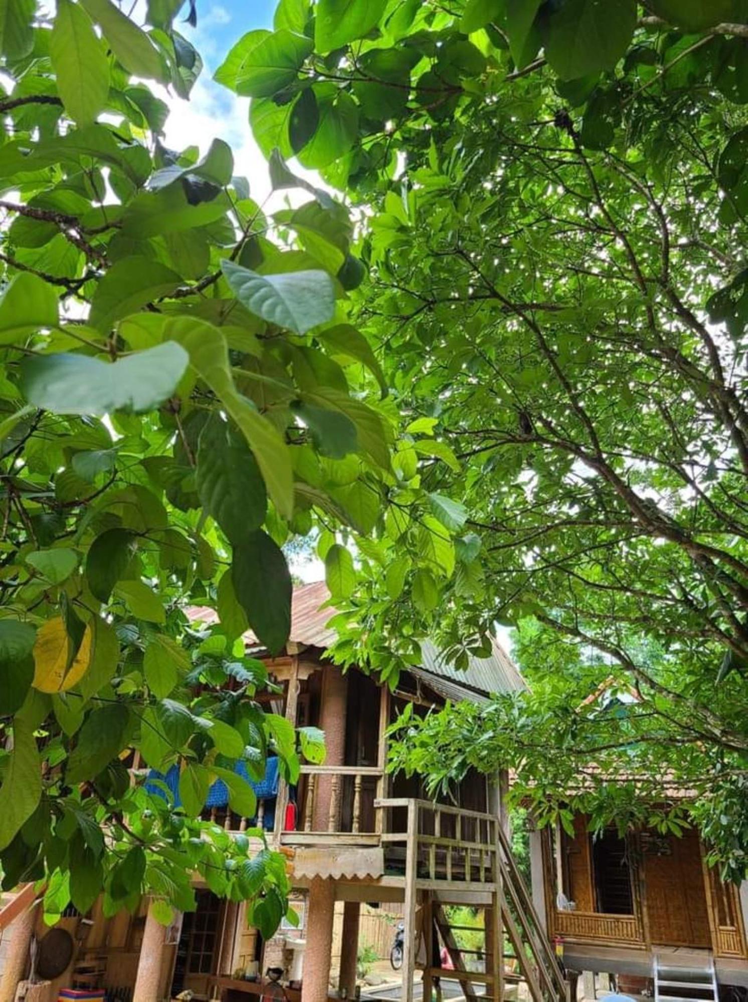 Homestay Ho Son - Thac Anor A Luoi Esterno foto